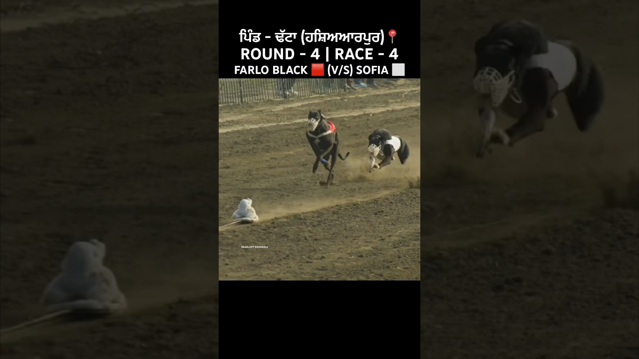 FARLO BLACK (v/s) SOFIA | R-4,R-1 