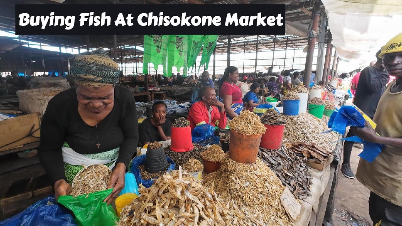Buying Fish at CHISOKONE Market | Kitwe |Zambia