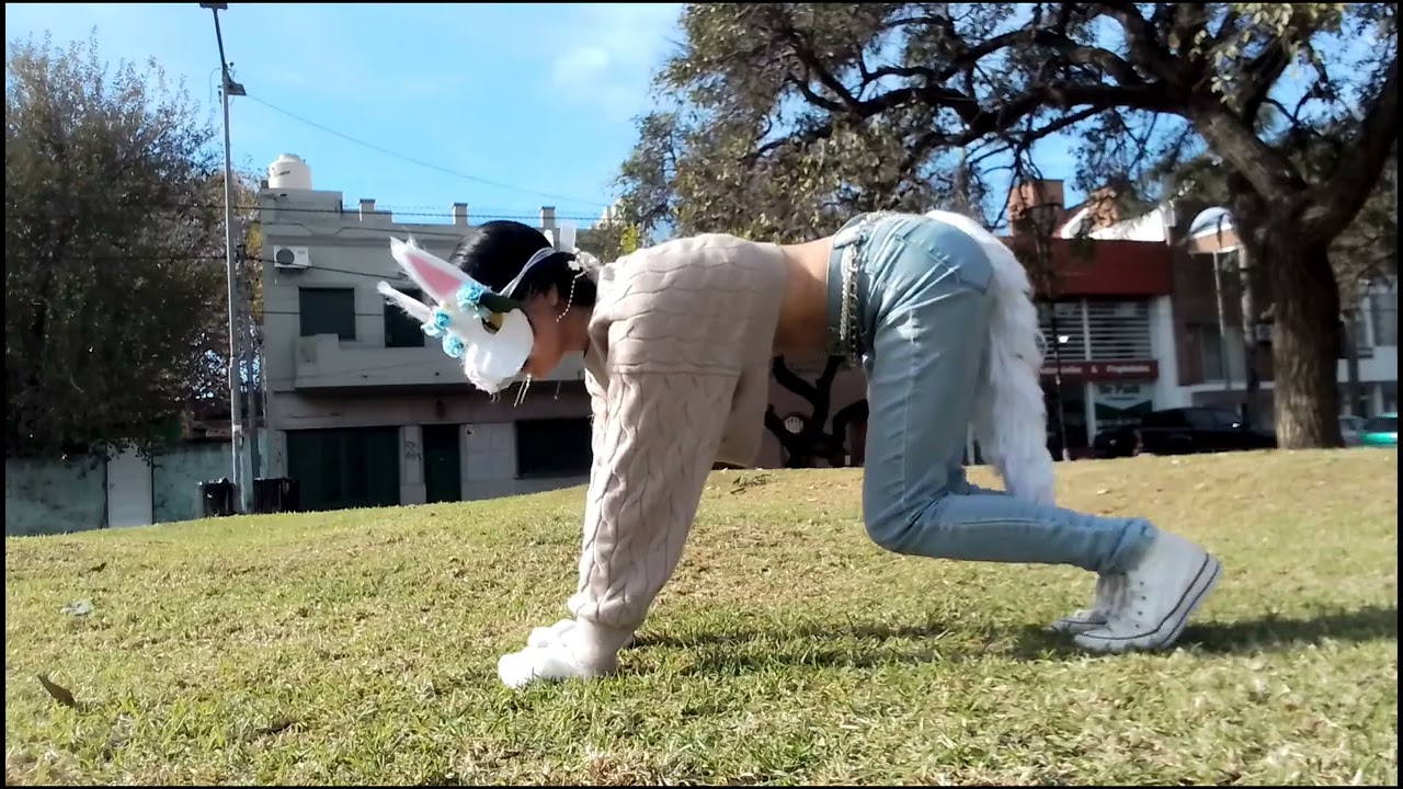tutorial de cuadróbicos en español caminata trote medio galope salto/ cómo caminar en cuatro patas