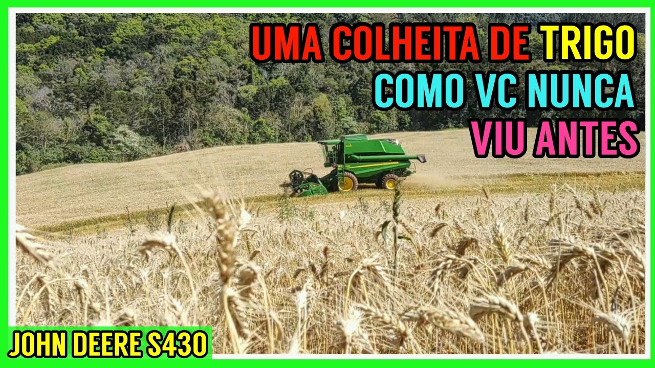 Colhendo TRIGO antes da chuva (colheitadeira John Deere S430)