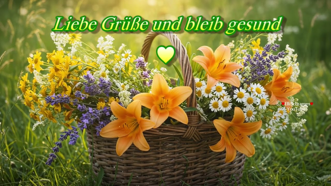 Magische Fr&uuml;hlingsreise  und liebe Gr&uuml;&szlig;e  💐
