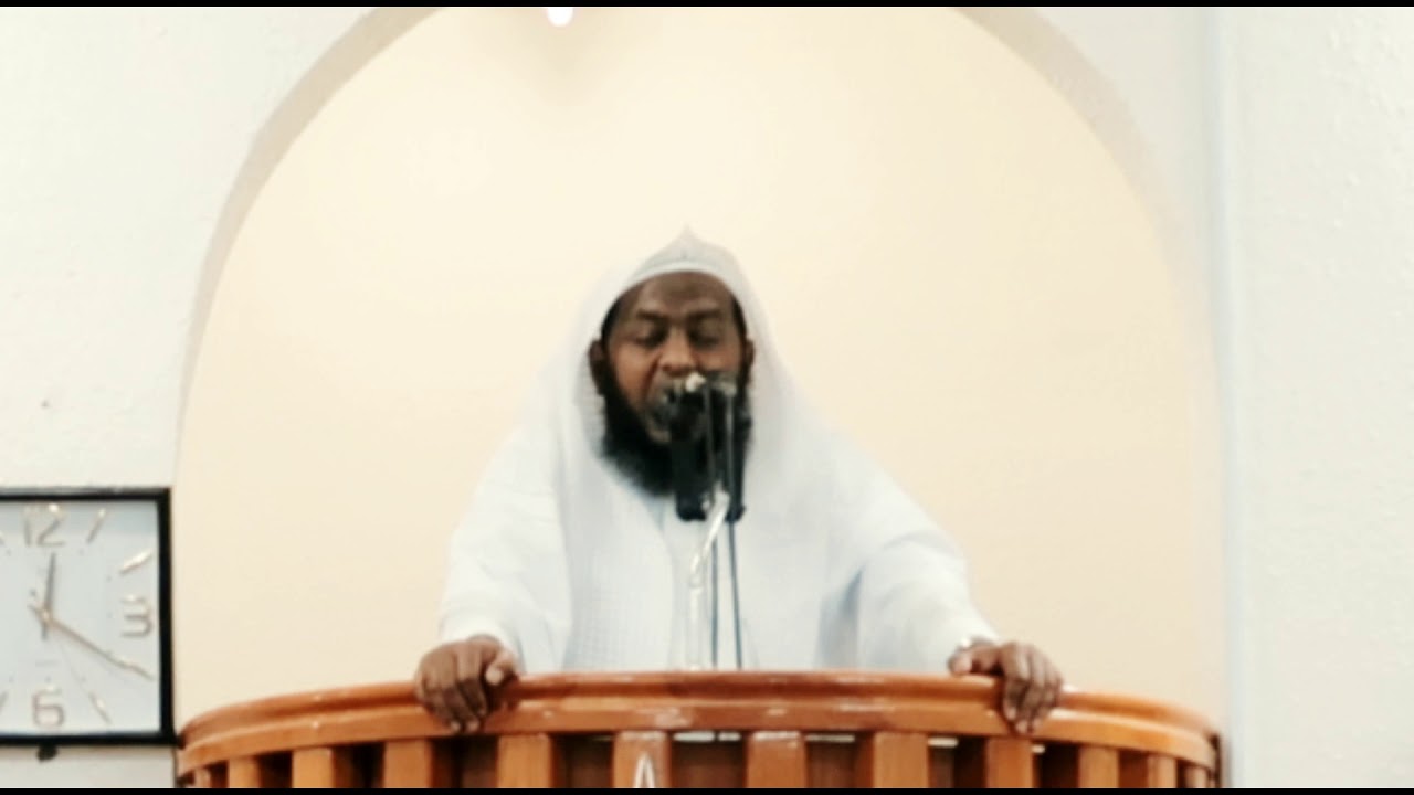 إنهم فتية آمنوا بربهم