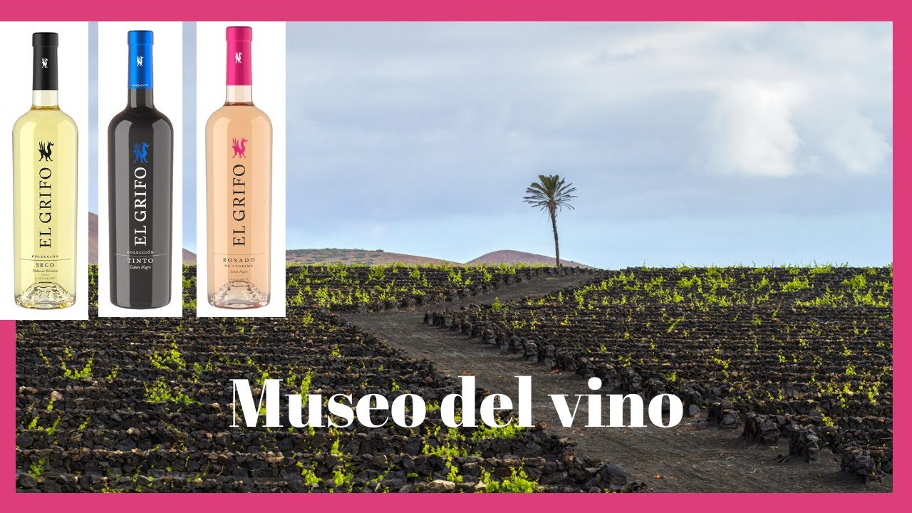 Bodegas Lanzarote / EL GRIFO. 💙