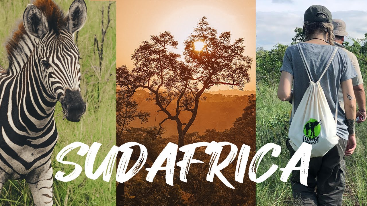 Viaggio avventura in Sudafrica - Kruger National Park