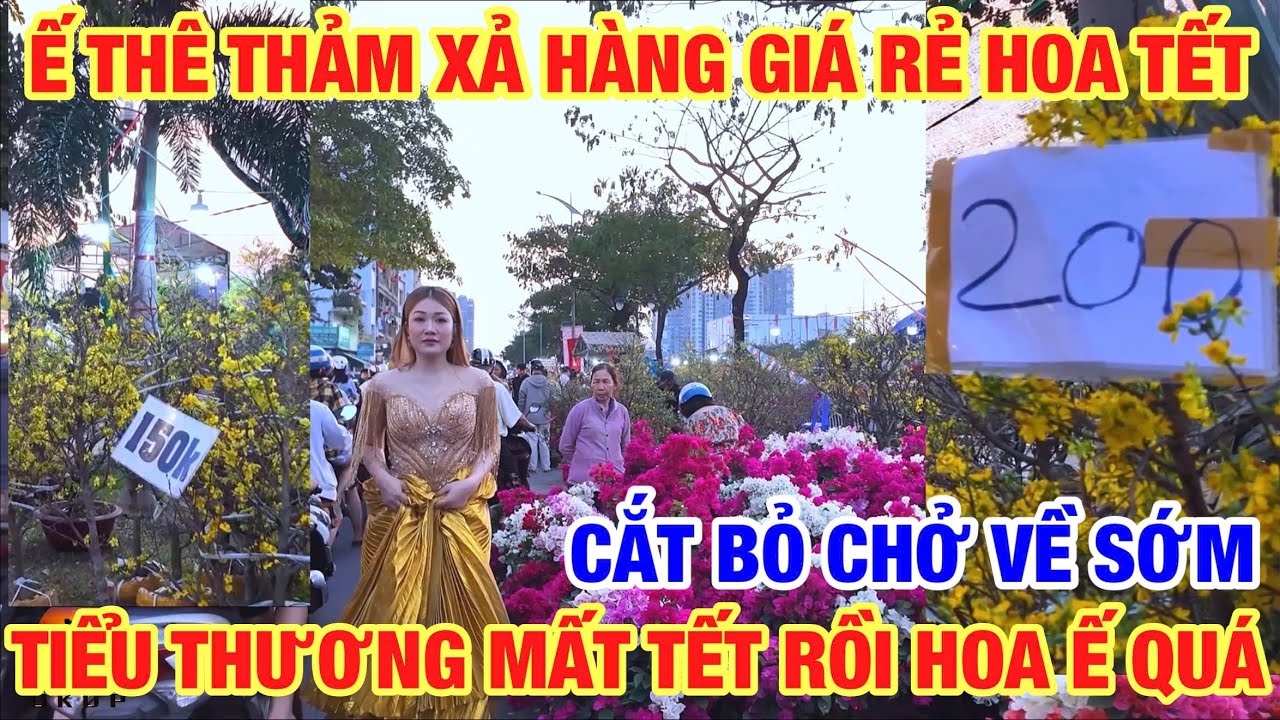 Ế THÊ THẢM XẢ HÀNG GIÁ RẺ HOA TẾT BẾN BÌNH ĐÔNG TIỂU THƯƠNG MẤT TẾT RỒI