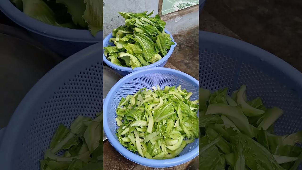 Dưa cải chua ngọt, muối chua, nhâm nhi ngày tết