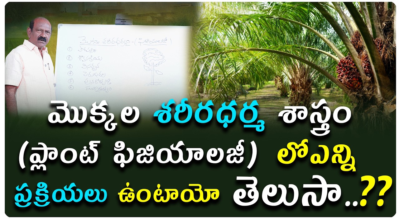 మొక్కలను పెంచడమే కాదు వాటి ఫిజియాలజీ కూడా తెలుసు కోవాలి..అప్పుడే మొక్కల పోషణ సాధ్యం