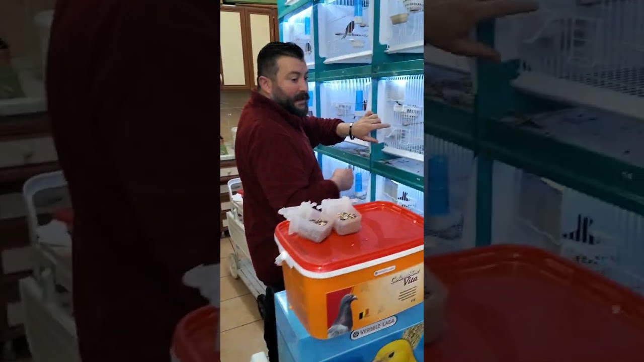 kumesimiz kuşlarımız ve kullandığım ürünler