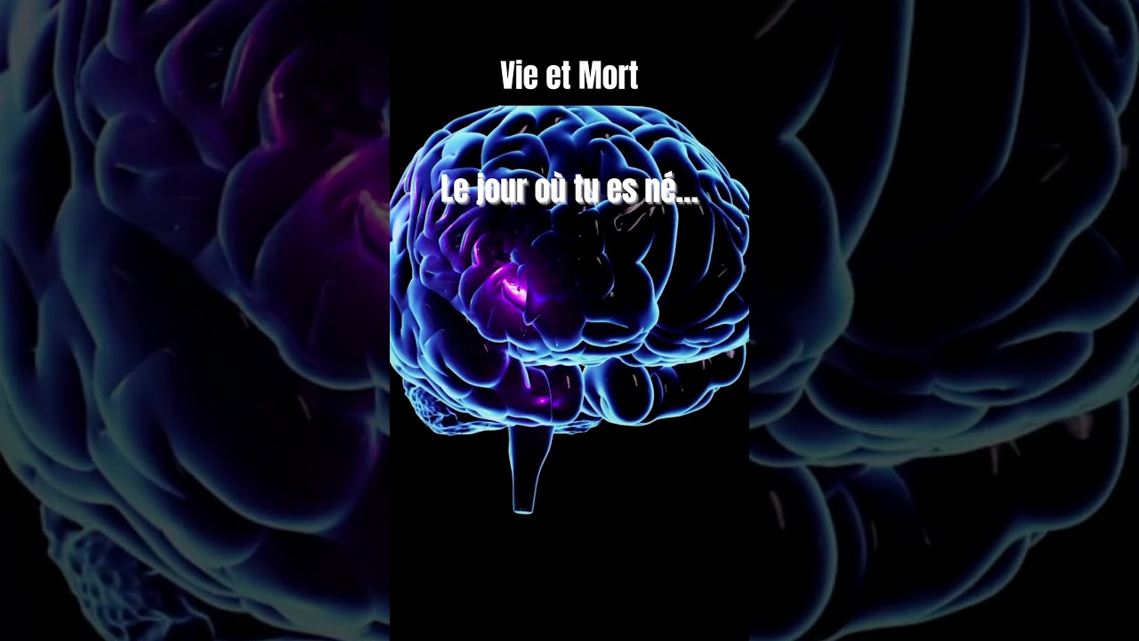 Na&icirc;tre ou Mourir ✨️ #na&icirc;tre #vivre #cerveau #pourtoi