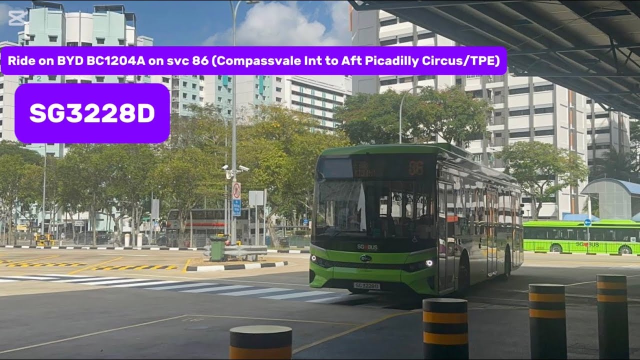 (REOPENED COMPASSVALE INT) Ride on BYD BC1204A SG3228D on svc 86