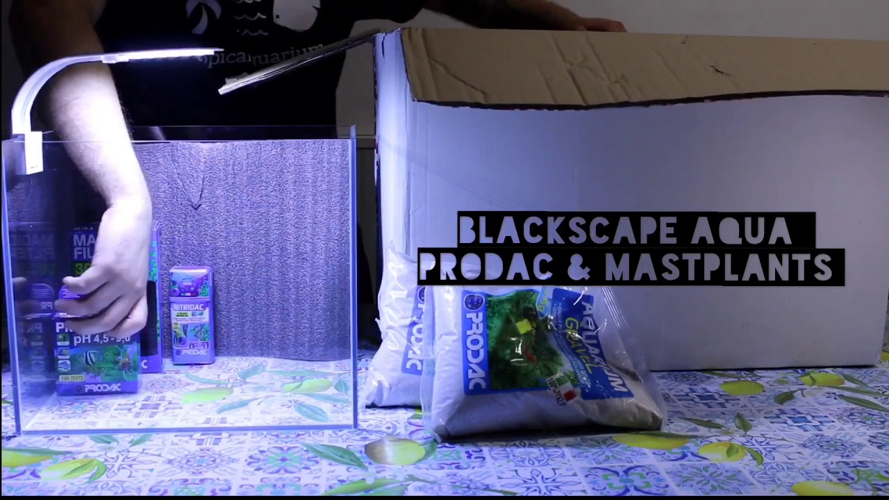 NEW PROJECT - Prodac International & Mastplants