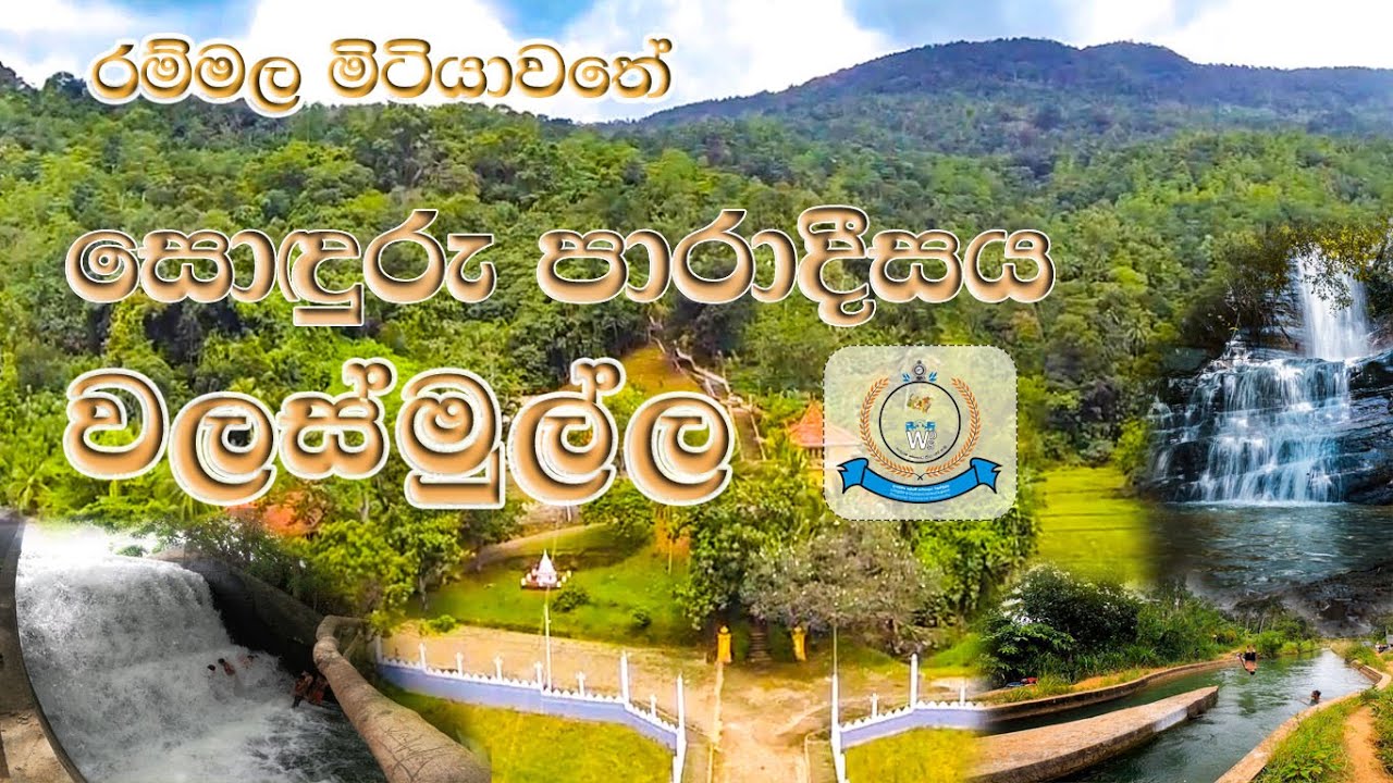 රම්මල මිටියාවතේ සොඳුරු පාරාදීසය- වලස්මුල්ල || Documentary by Walasmulla DS