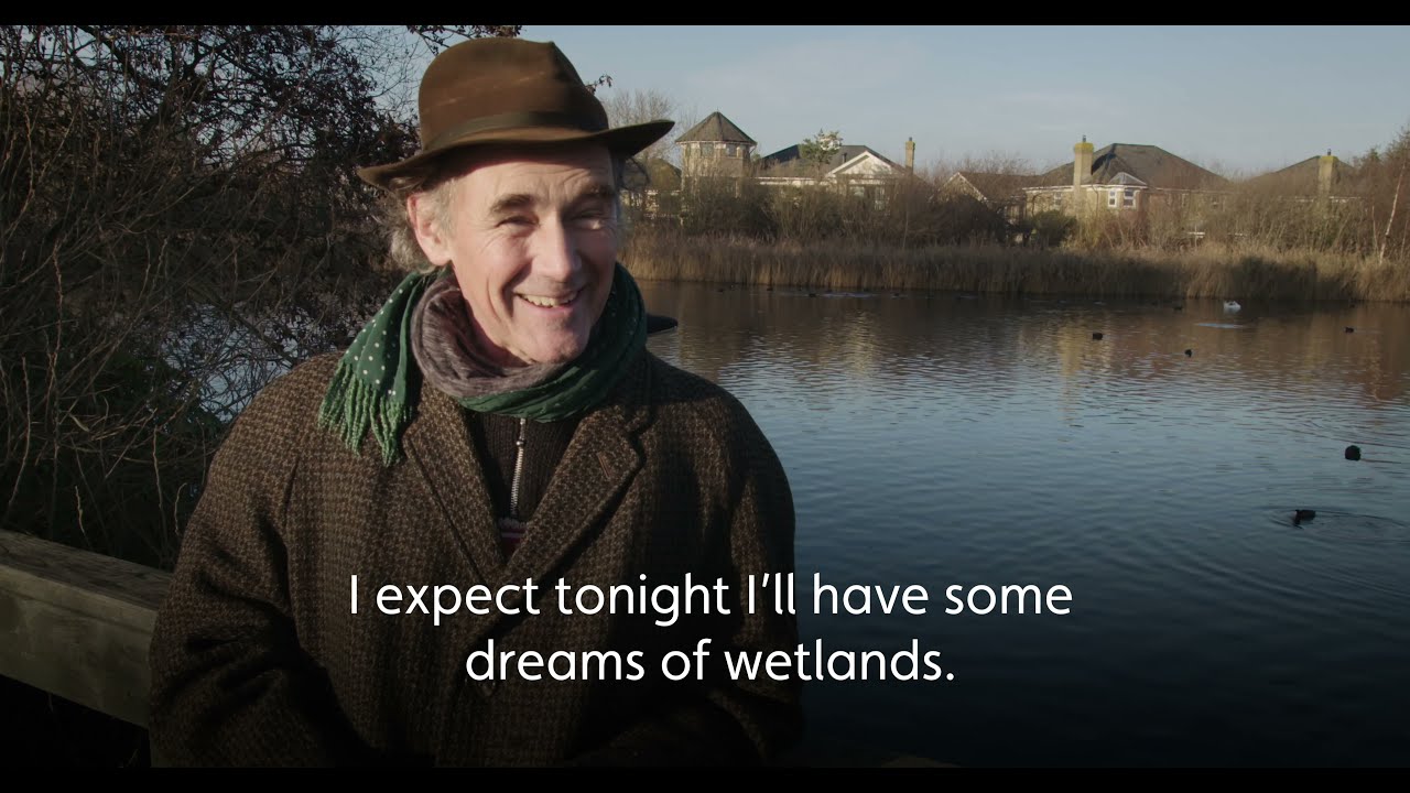 Mark Rylance - 'The Swan'