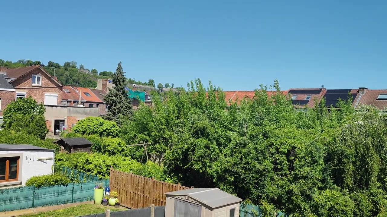 2025‑05‑11 ‒ 12H26 : Arbre cyan / turquoise au vert !