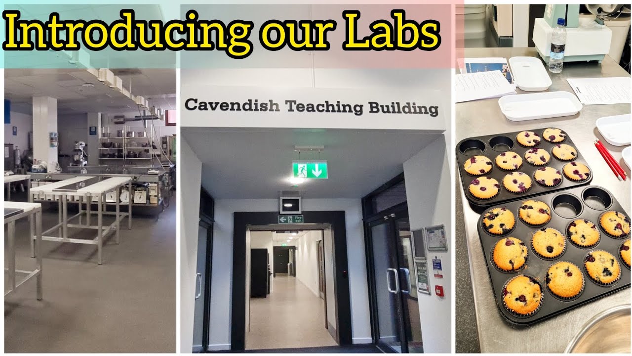 Manchester metropolitan University Cavendish Teaching Building. Introducing my labs 🙂