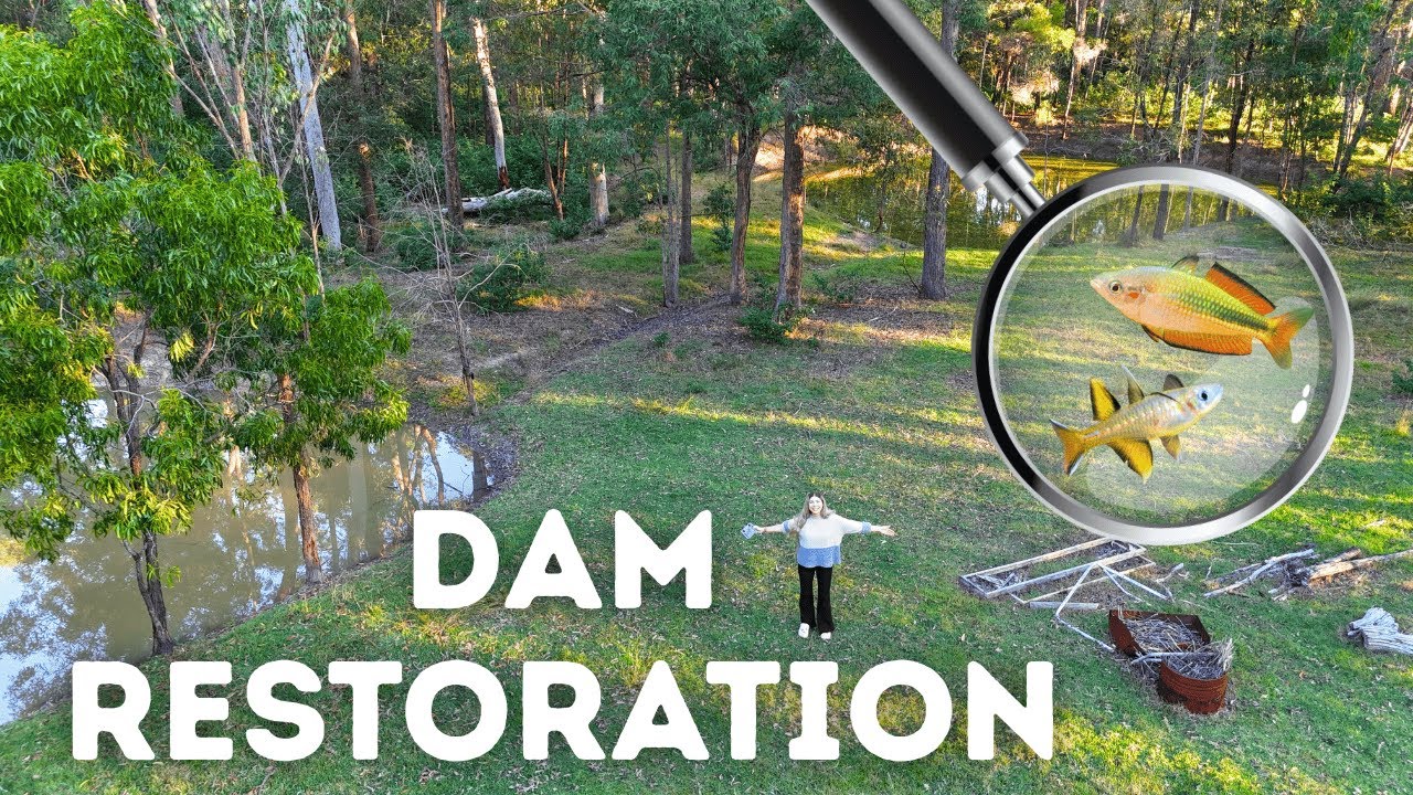 Building a NATIVE FISH Habitat in my Dams!