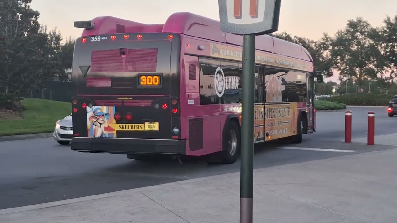 Various Buses at Disney Springs (September 13, 2025)