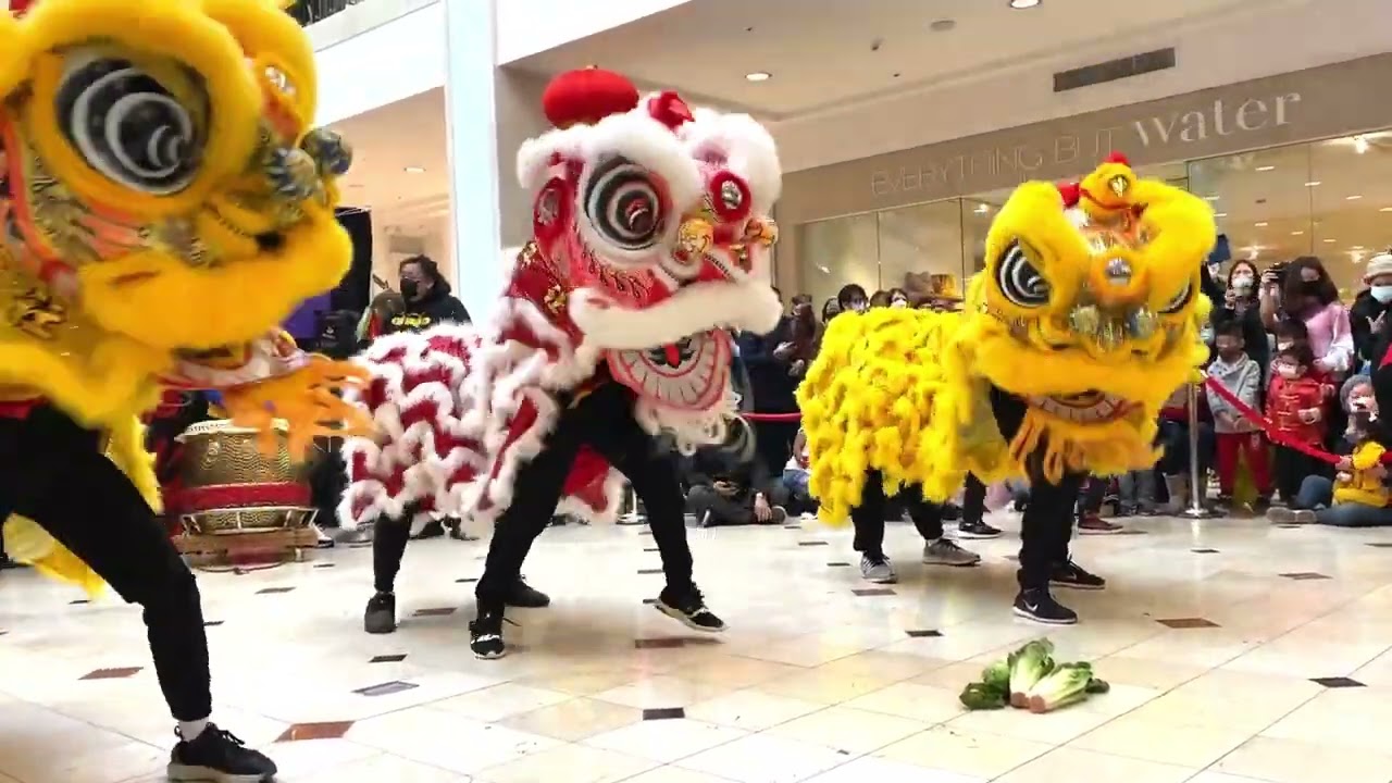 CYC Lion Dance Troupe at Montgomery Mall - 05FEB22