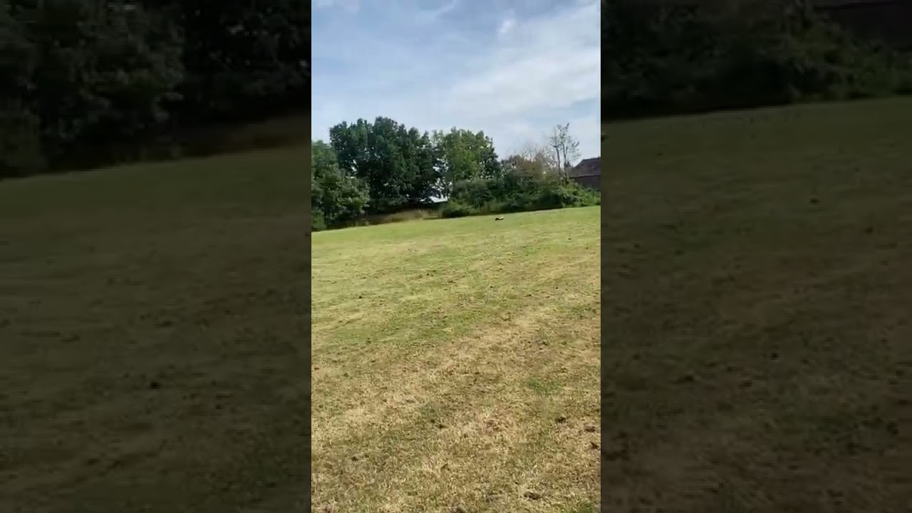 Arrma Mojave with 1650kv hobby wing motor!🔥