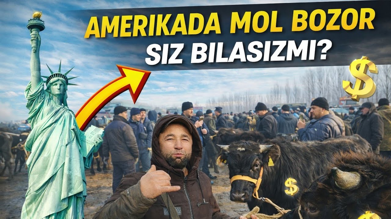 BU QANAQASI ENDI?🤩QUVA BOZORI KOTTA-KICHIK BUQA NARXLARI BUQASI BORLAR KÓRILAR😱8 февраля 2026 г.