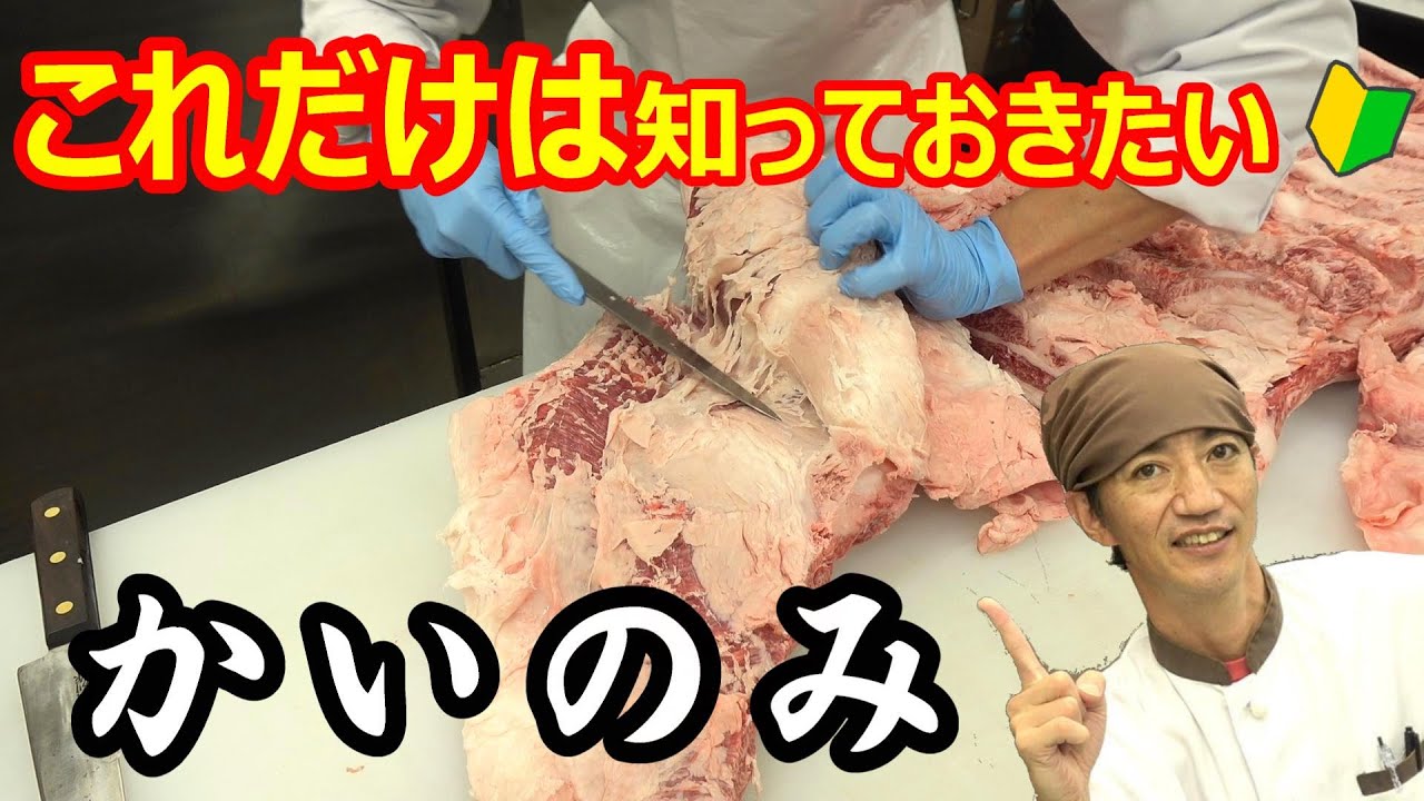 牛肉の部位【カイノミ】これだけは知っておきたい希少部位