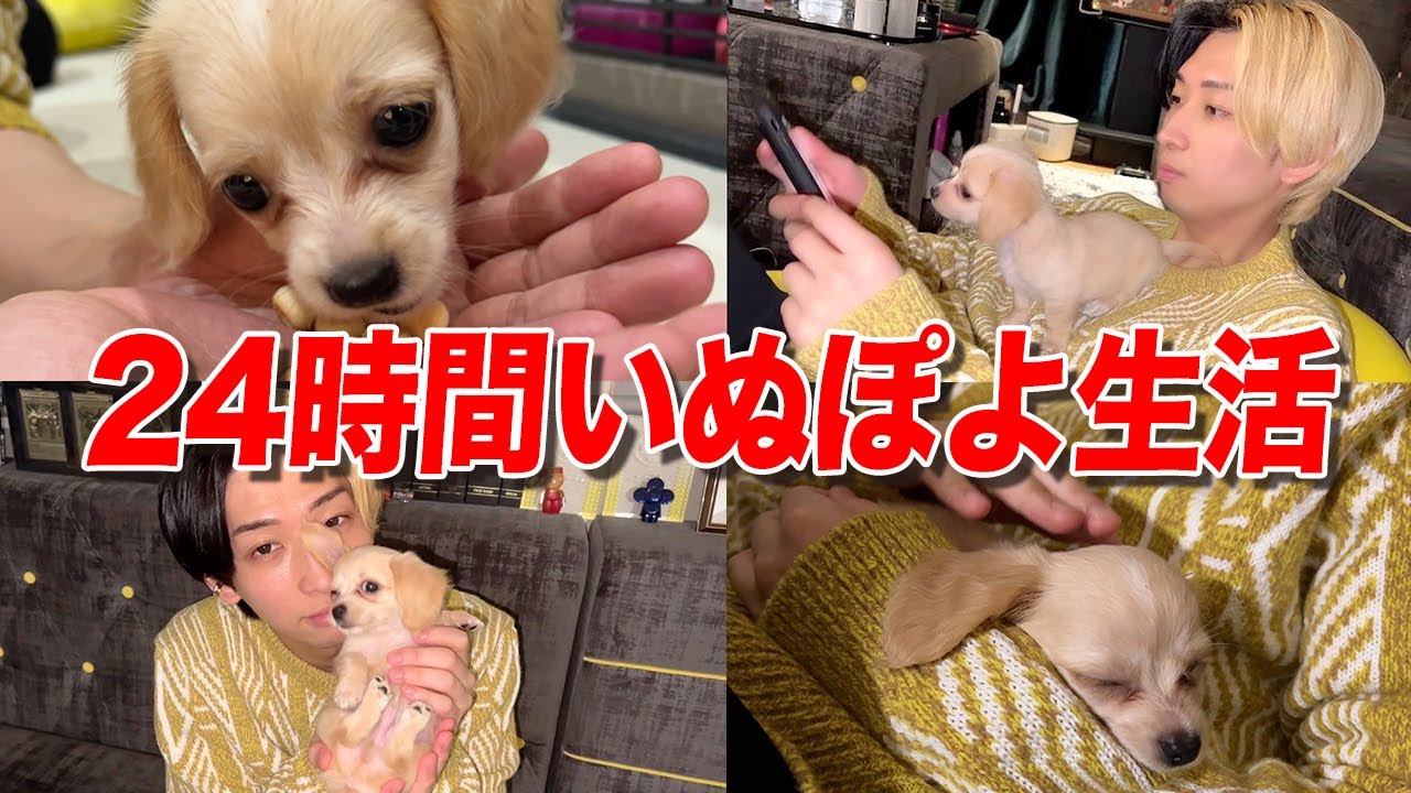 【溺愛】24時間いぬぽよと生活してみた