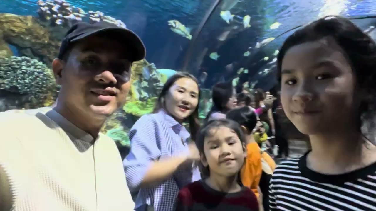 Angkor wild life and aquarium at Siem Reap 
