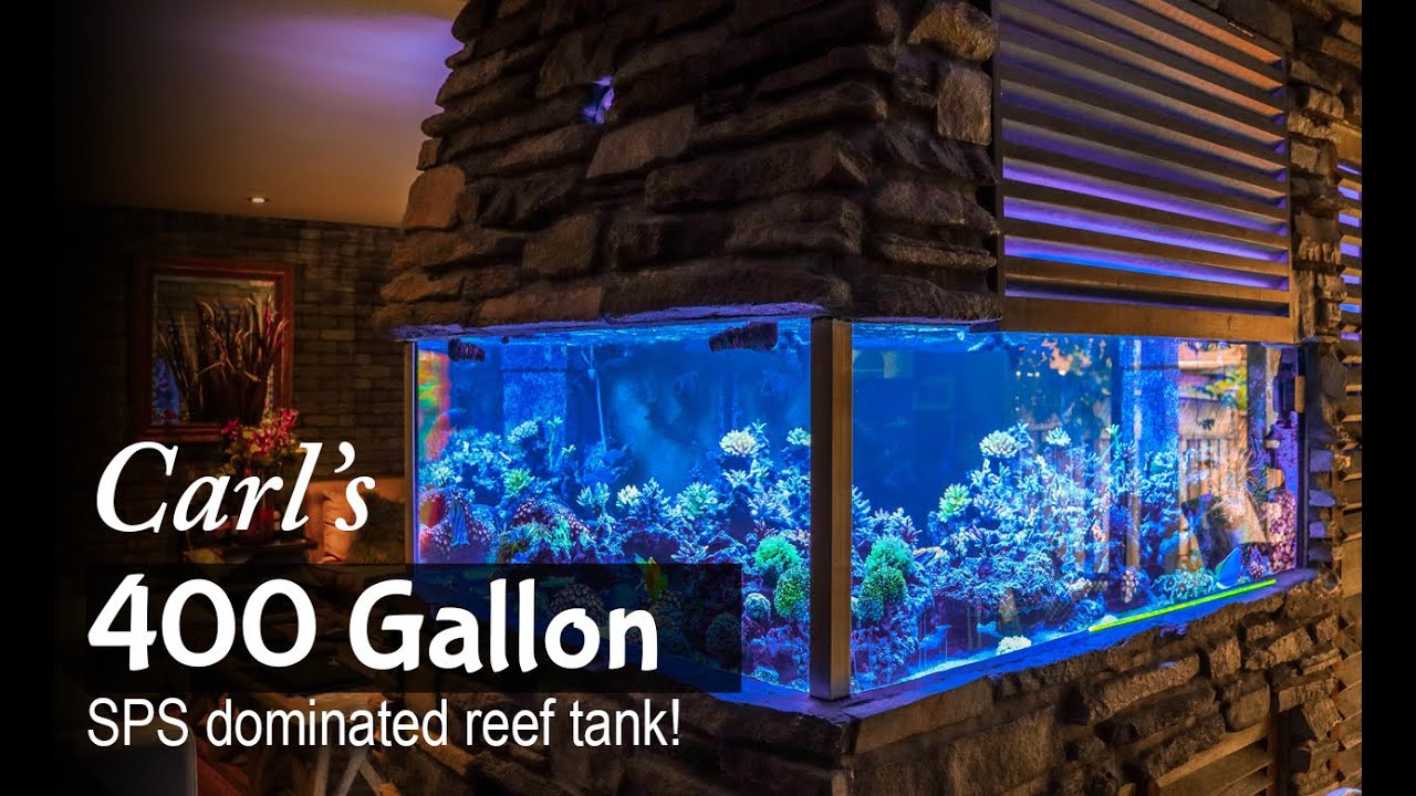 Carl's 400 Gallon SPS Dominated Reef Aquarium