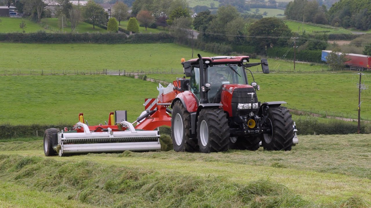 Donkey tries his hand at merging in the Case 175