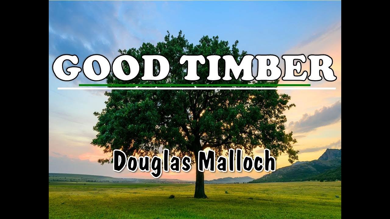 Good Timber by Douglas Malloch | Explanation in Urdu/Hindi