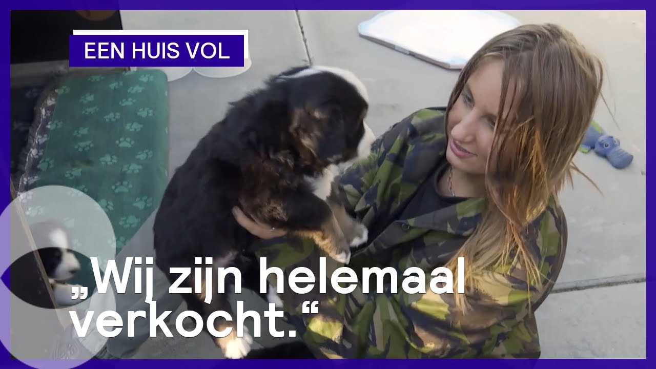 De familie Jelies is op zoek naar een nieuw gezinslid | Een huis vol