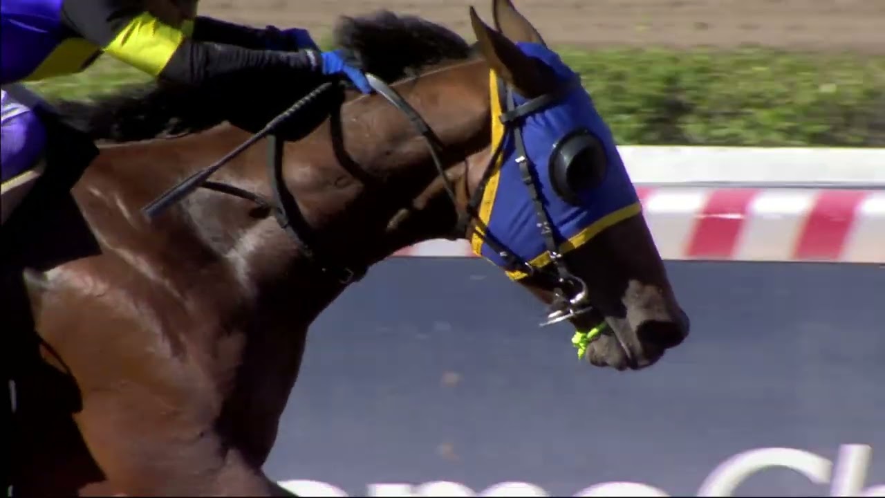 13a. Carrera Hándicap, Índice: 12 al 8, 5ta. Serie, 1.000 Mts.