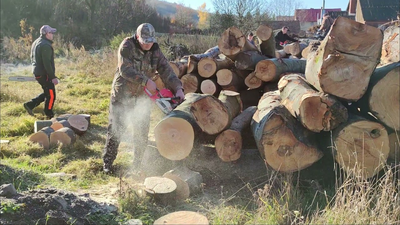 Straus XP kínai láncfűrész vastag bükkfában HQ X-Cut lánccal