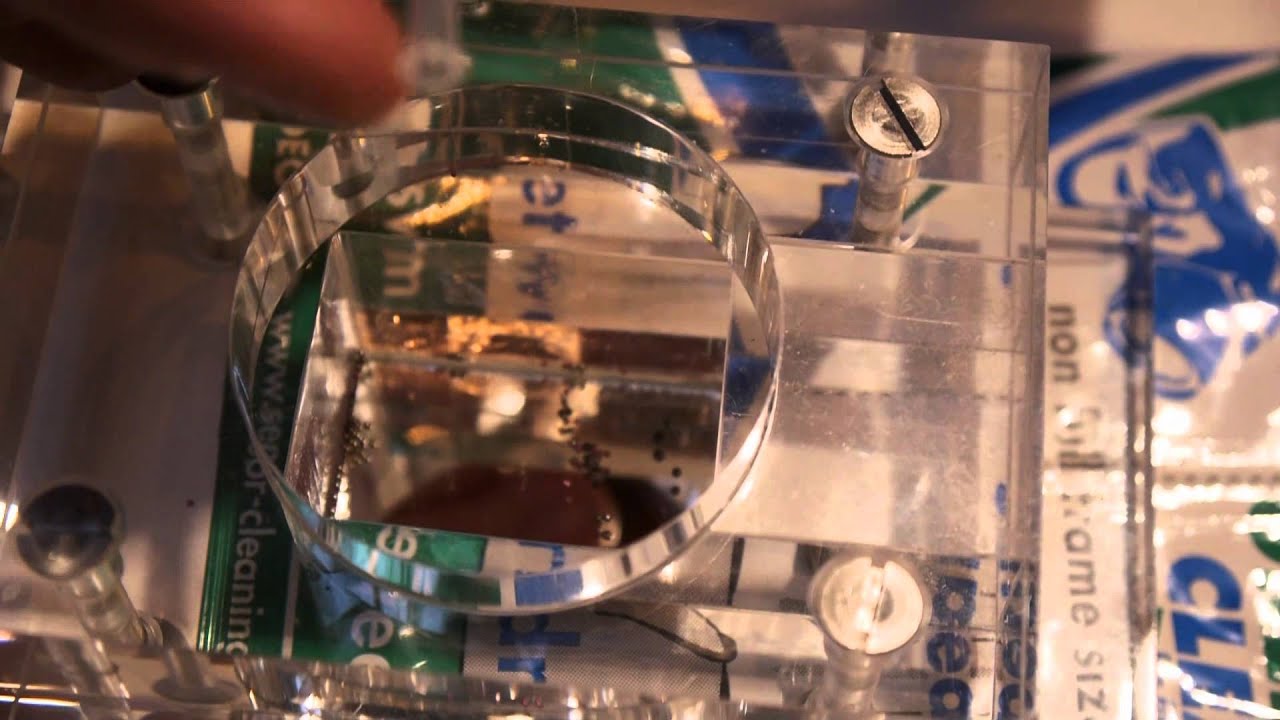 Green Clean Sensor cleaning- Part 2 Morris Photographic at Focus 2013 -Updated