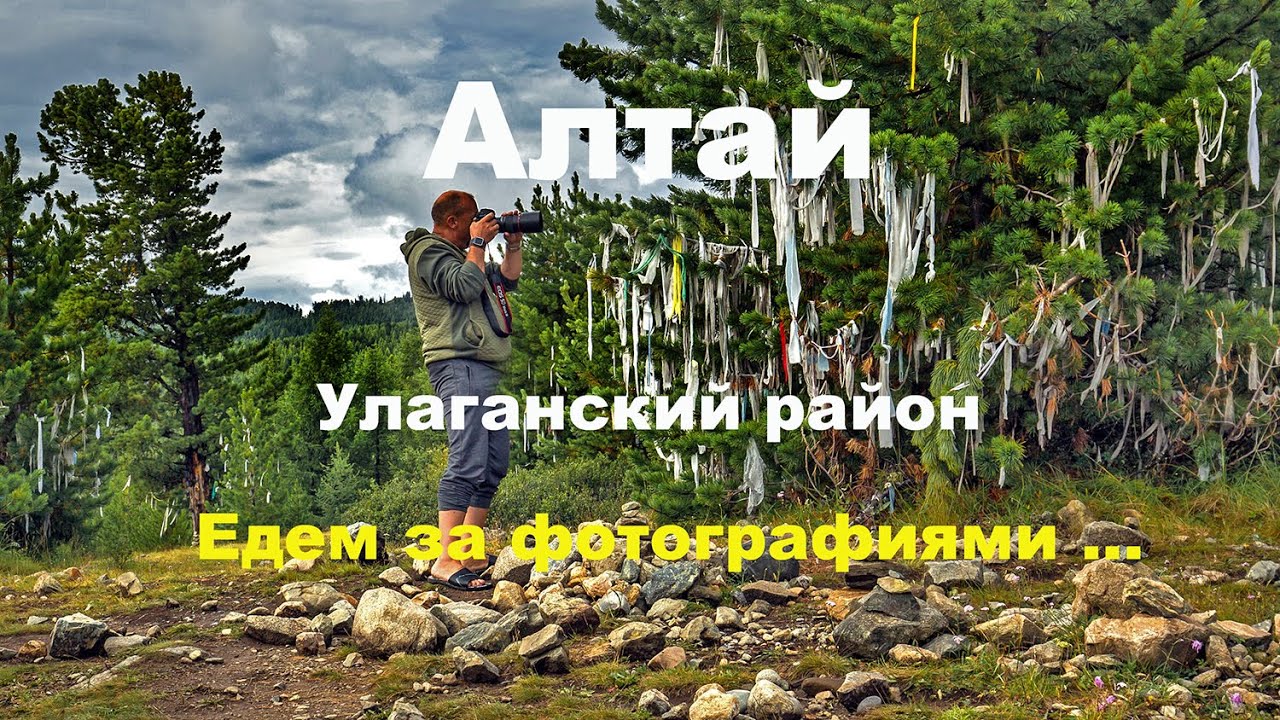 Республика Алтай. Улаганский район. Едем за фотографиями . 2020