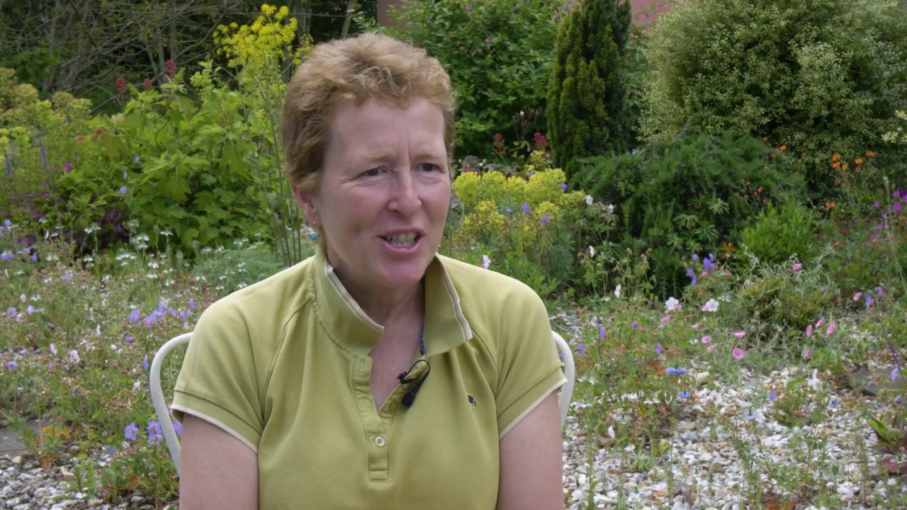 Master Grower | Hardy's Cottage Garden Plants | RHS Hampton Court Palace Garden Festival | RHS