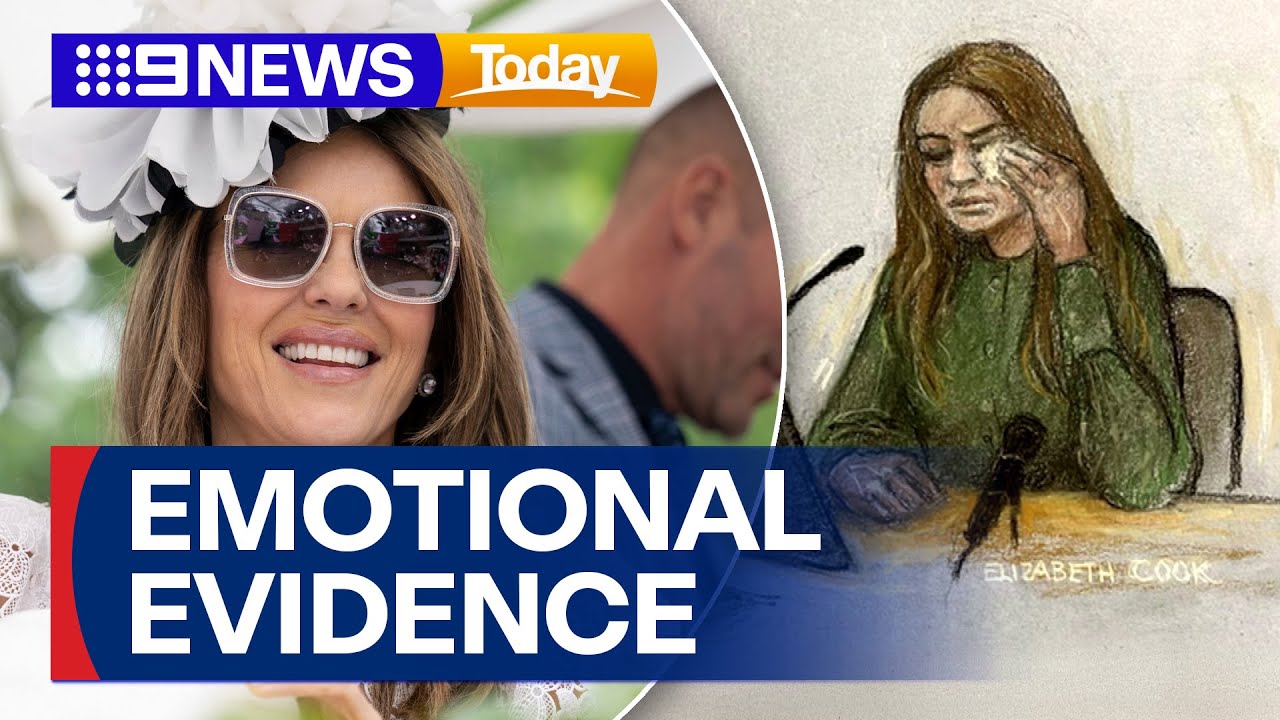 Liz Hurley 'crushed' by privacy invasion | 9 News Australia