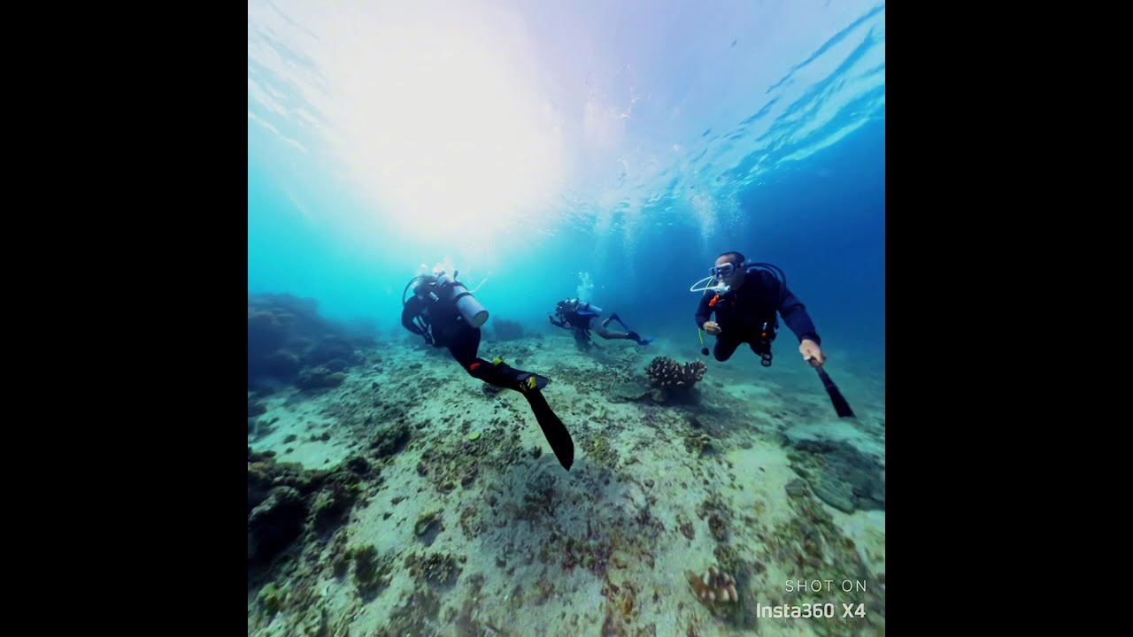 Amazing Diving Spot in San Antonio Northern Samar ( Sparkdrew40 )