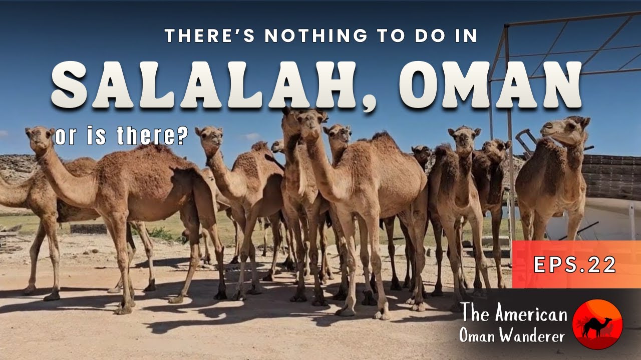 “Nothing to Do in Salalah, Oman… So We Did This 🇴🇲”