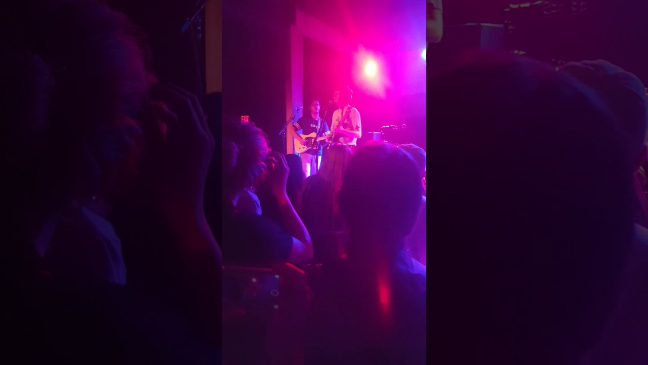 Pinegrove - Skylight Live at The Bartlett.