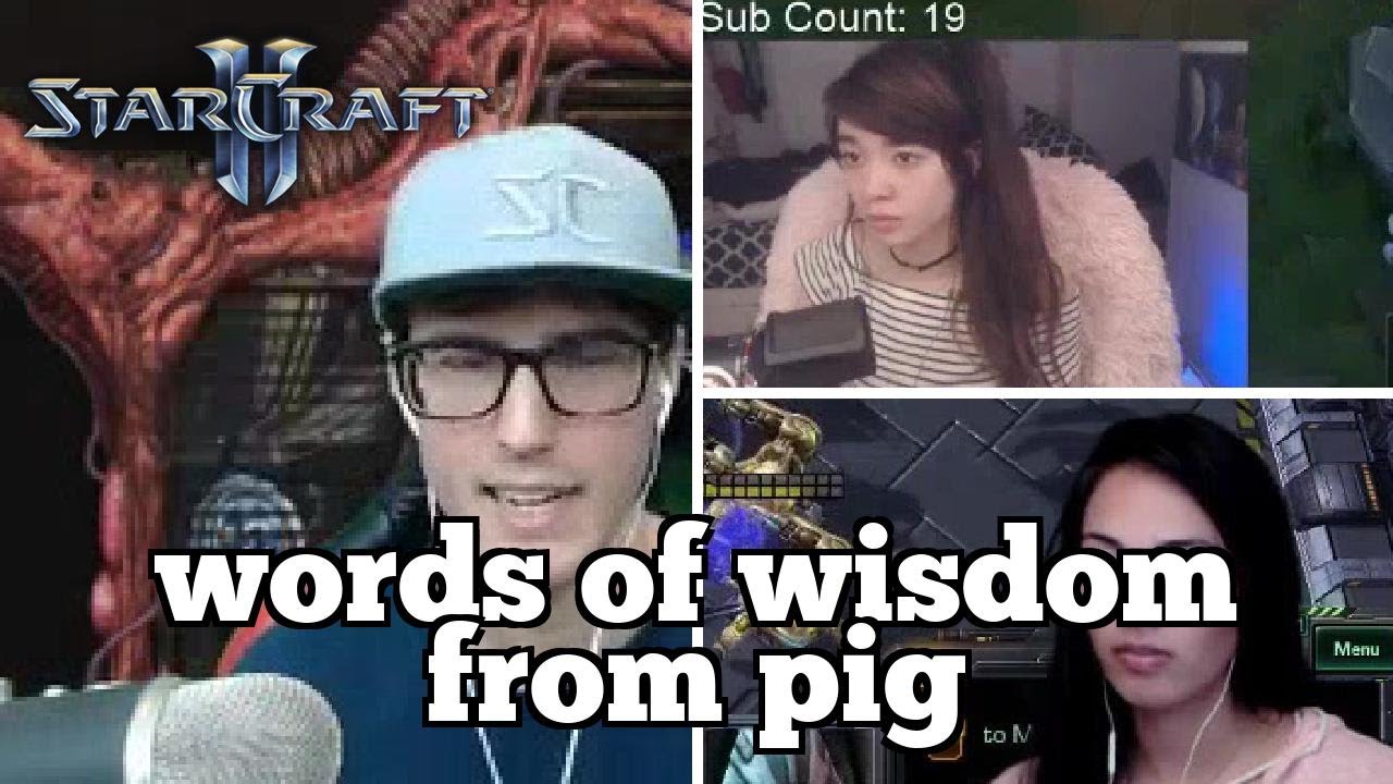 Daily Starcraft Highlights: words of wisdom from pig