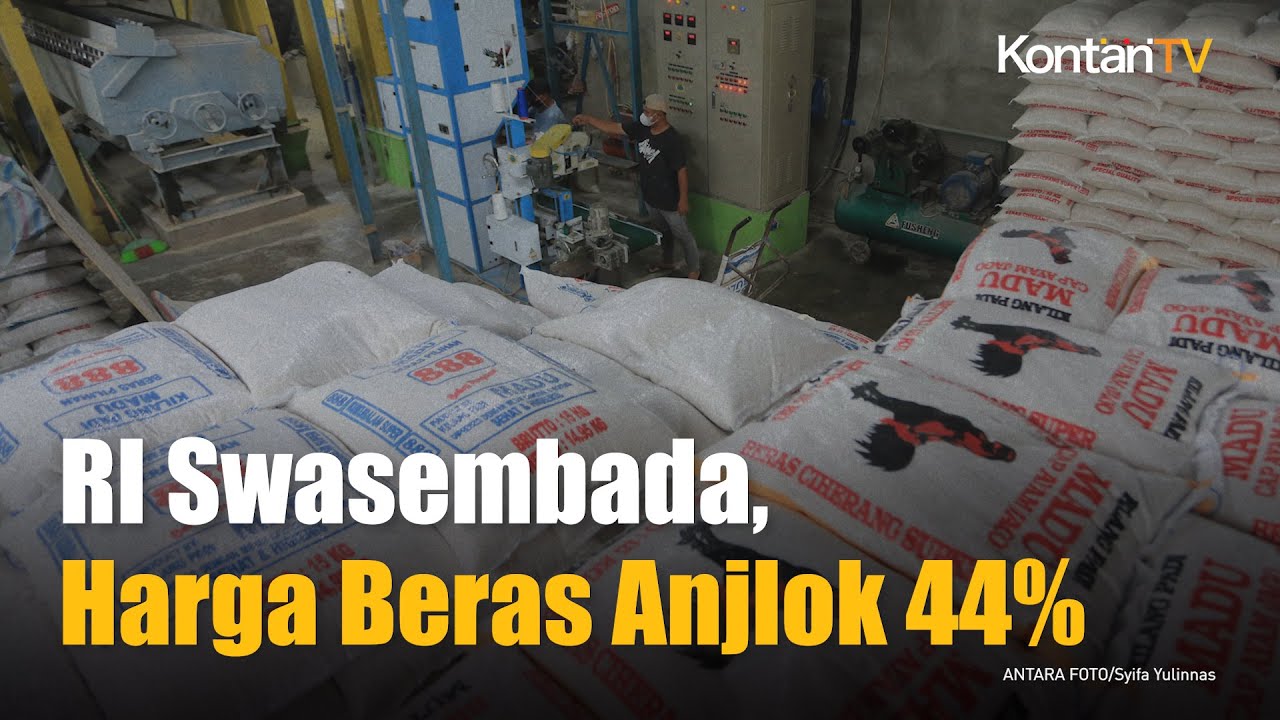 Mentan: Indonesia Swasembada Beras, Harga Beras Dunia Anjlok 44 Persen