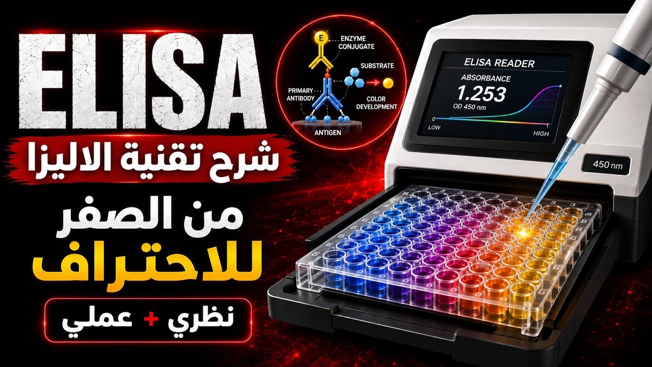 Enzyme-linked immunosorbent assay (ELISA) شرح تقنية الاليزا ❤️
