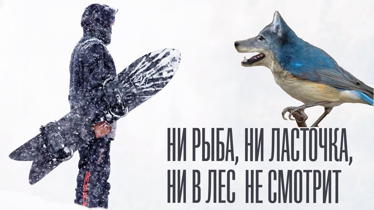 Jones Storm Wolf. Ни рыба, ни ласточка, ни в лес не смотрит.