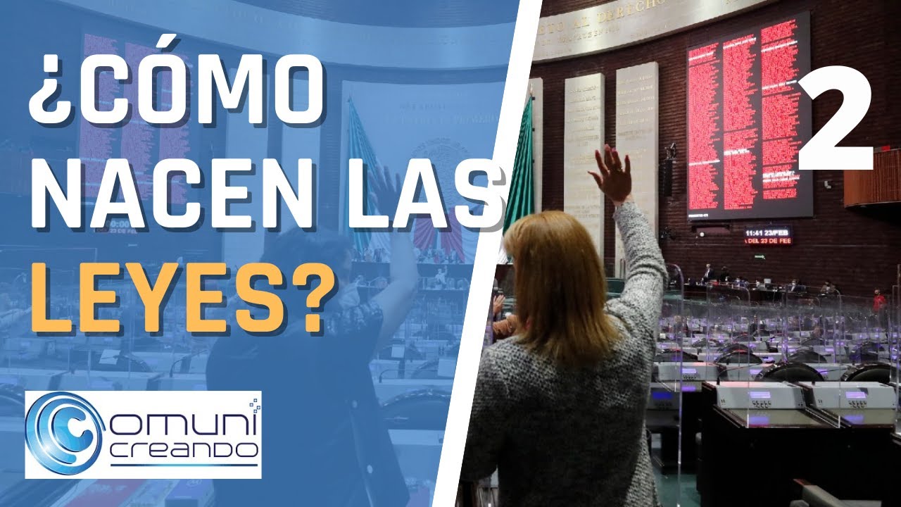 ¿CÓMO NACEN LAS LEYES? SEGUNDA PARTE