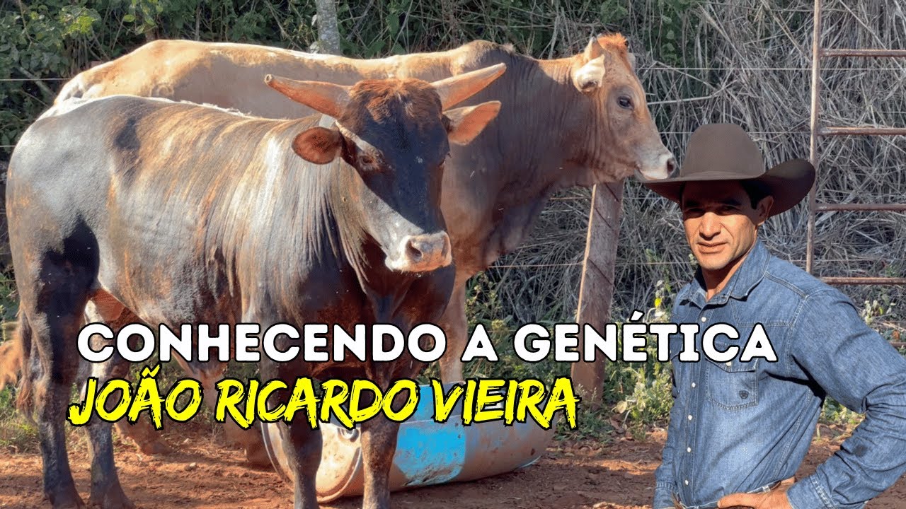 Conhecendo a Genética de João Ricardo Vieira