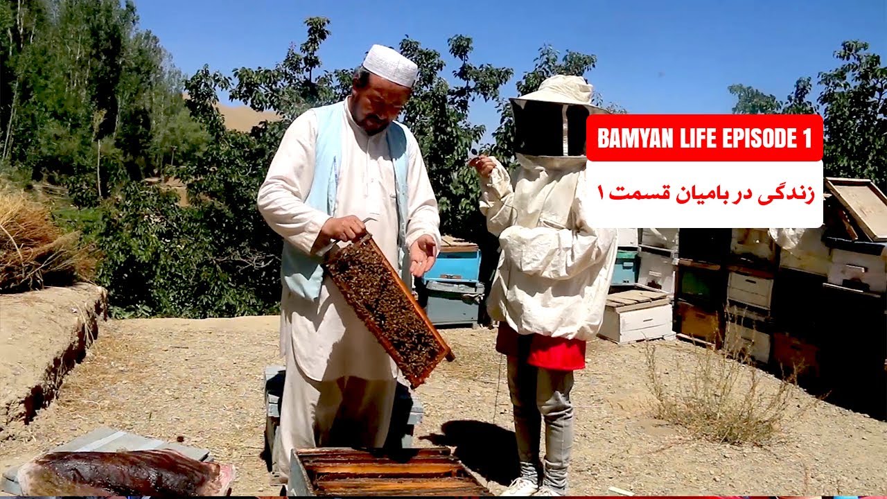 زندگی در بامیان قسمت اول    فارم زنبور عسل  | Bamyan Life Episode 1