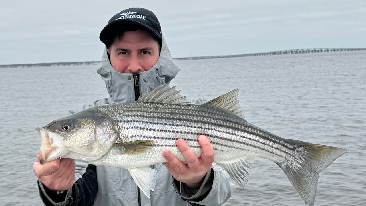 Striper fishing NJ 2024