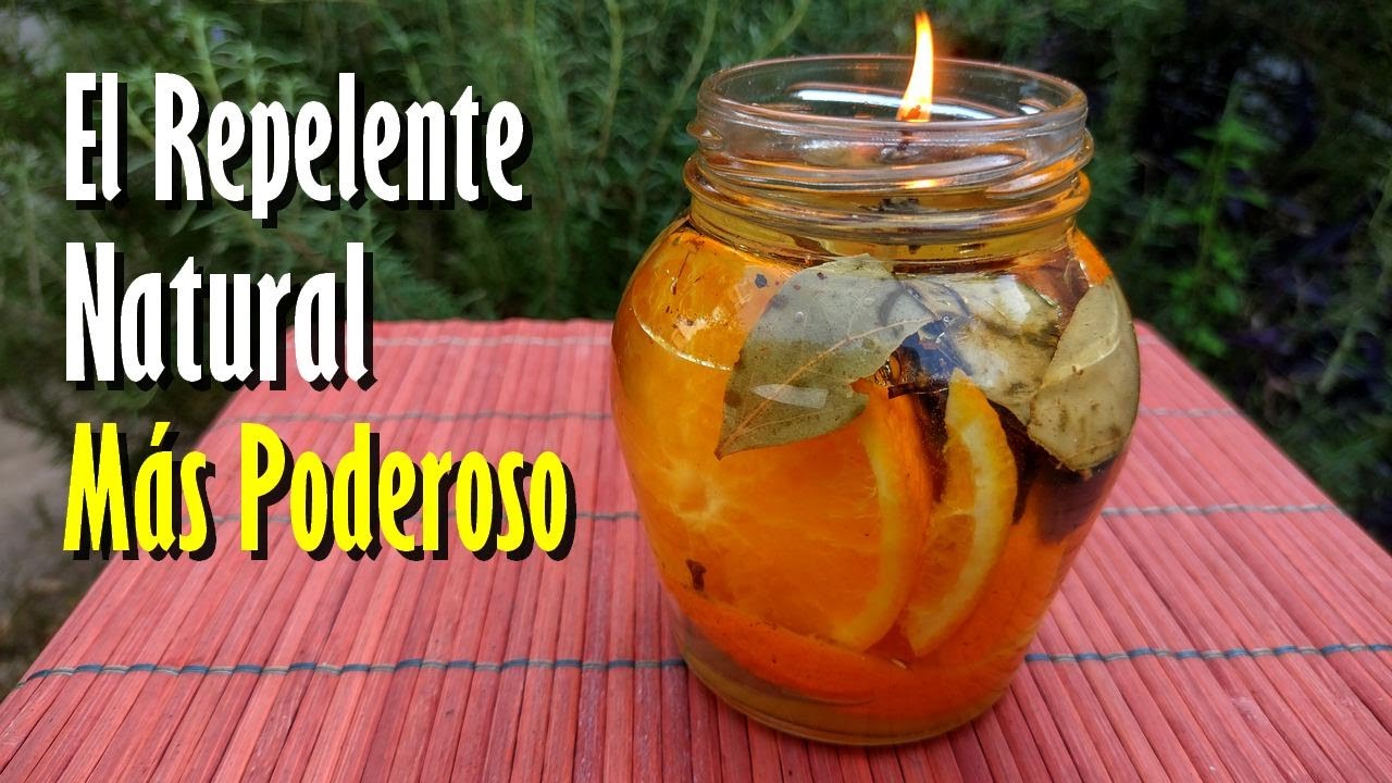 El Poderoso REPELENTE Natural que Nunca se acaba