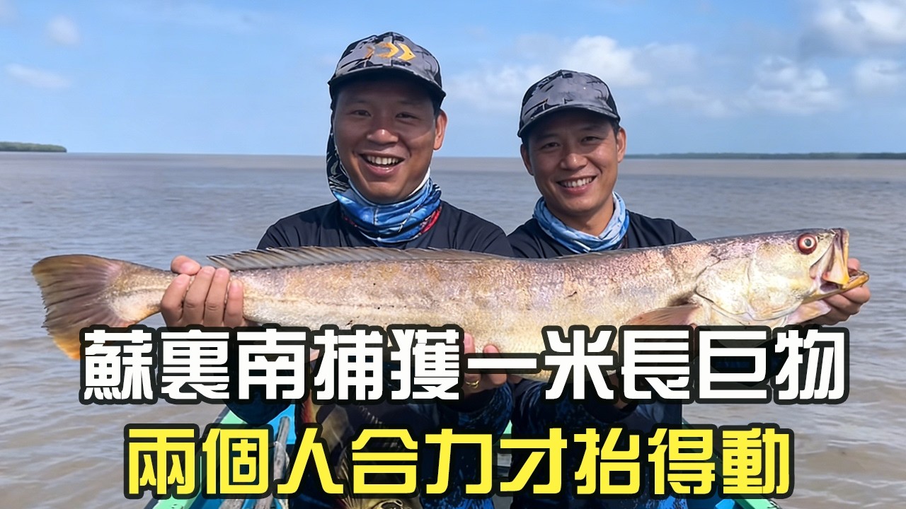 蘇裏南捕獲壹米長巨物，兩個人合力才擡得動#阿牛愛捕魚 #漁民 #蘇裏南 #熱門 #趕海